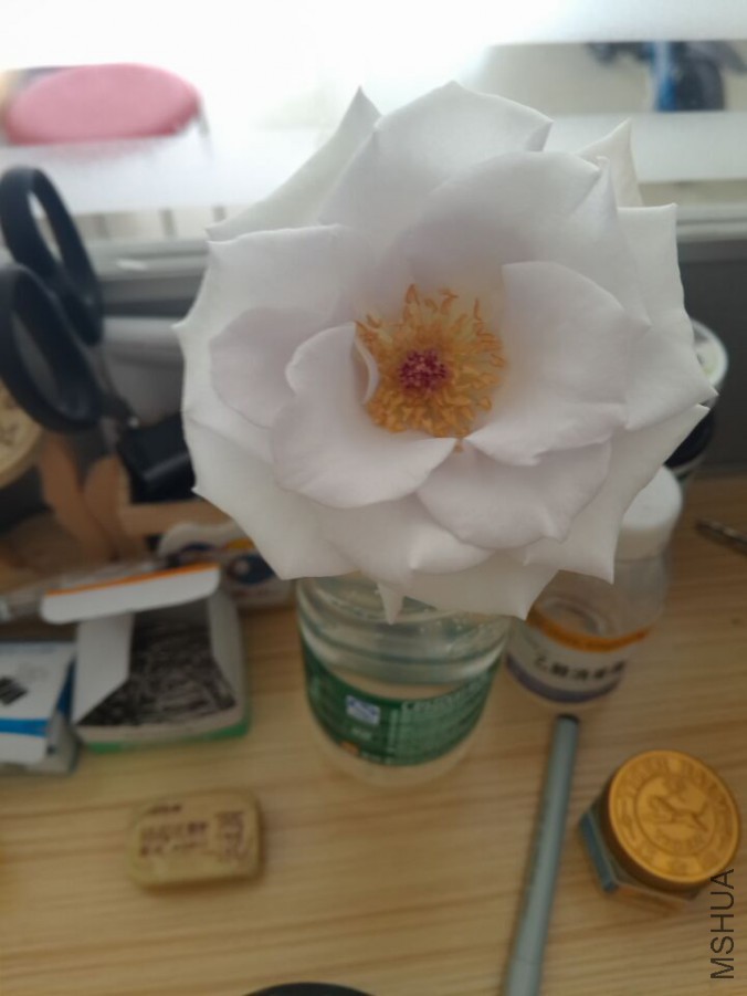 QQͼƬ20160407141844.jpg