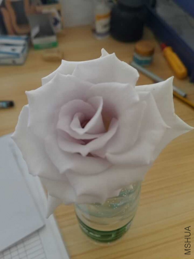 QQͼƬ20160407141857.jpg