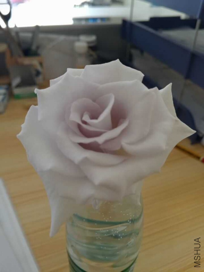 QQͼƬ20160407141907.jpg