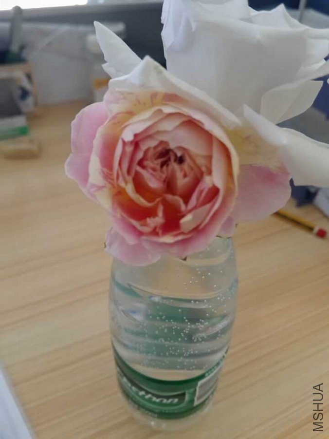 QQͼƬ20160407141914.jpg