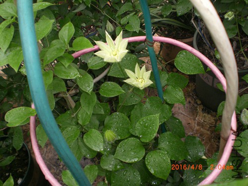 CIMG4796_����.jpg