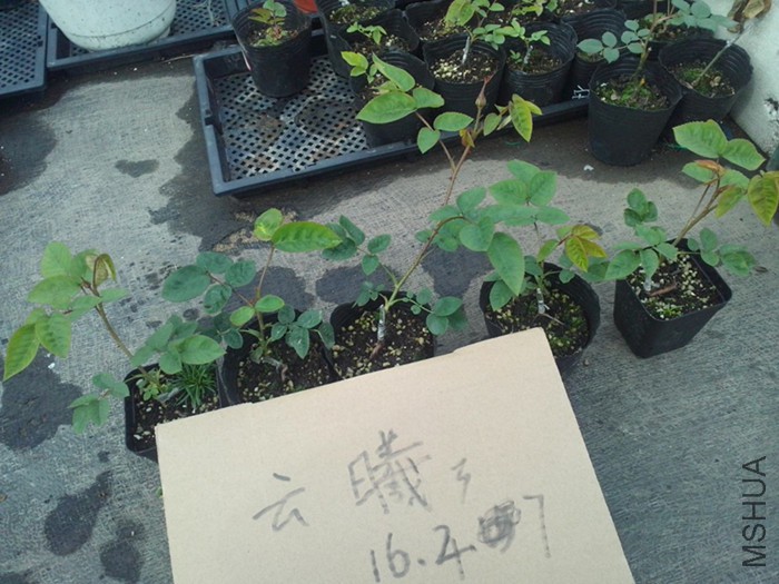 16.4.7�ձ�����õ��.jpg