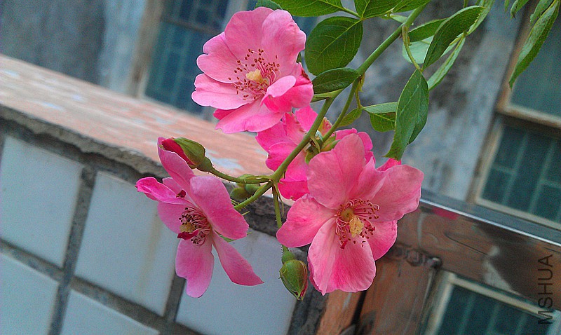 IMAG0058_����.jpg