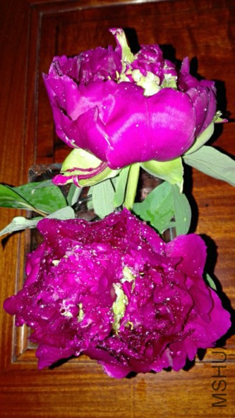 ��Ⱥ��-5-20160405.jpg