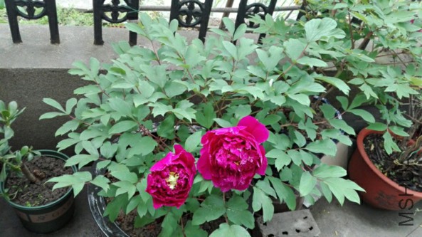 ��Ⱥ��-3-20160407.jpg