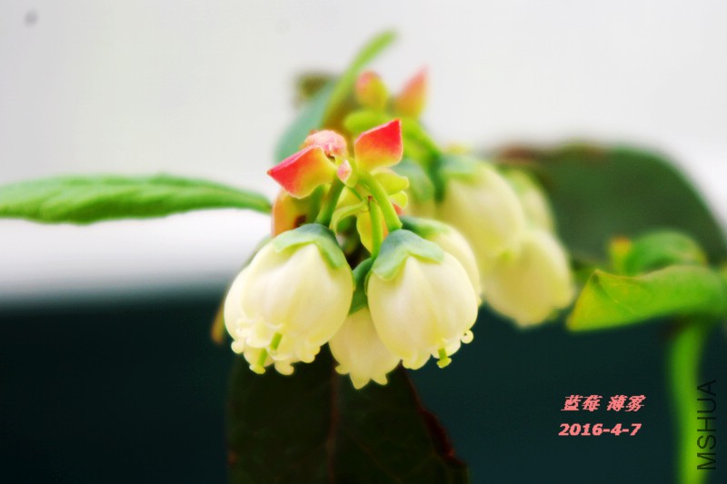 IMGP5972.jpg