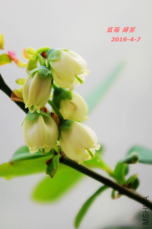 IMGP5973.jpg