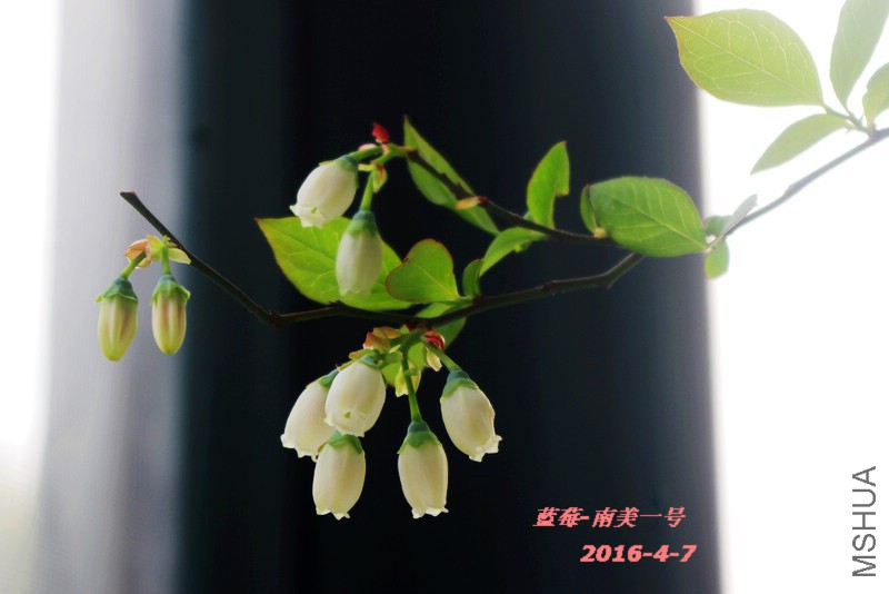 IMGP5974.jpg