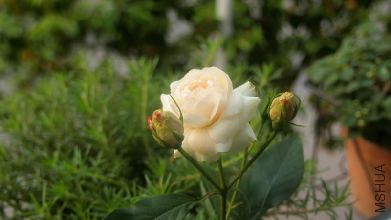 ���Ƕ�ͷ�ĺ���