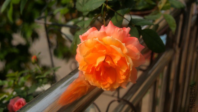 ʵ�ھ�����������̫���ˣ�˽��Ҫ��ż���