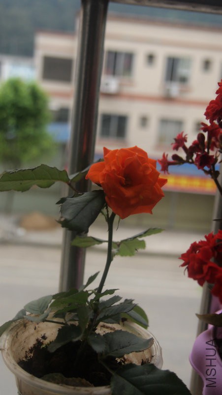 �������Ҳ���Լ����ģ�������΢������ˮ����