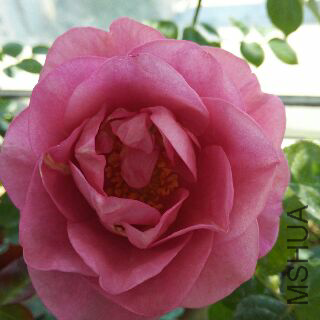 UC_Photo_136.jpg