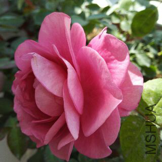 UC_Photo_137.jpg