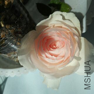 UC_Photo_142.jpg
