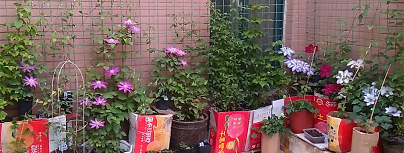IMG_20160407_075715.jpg