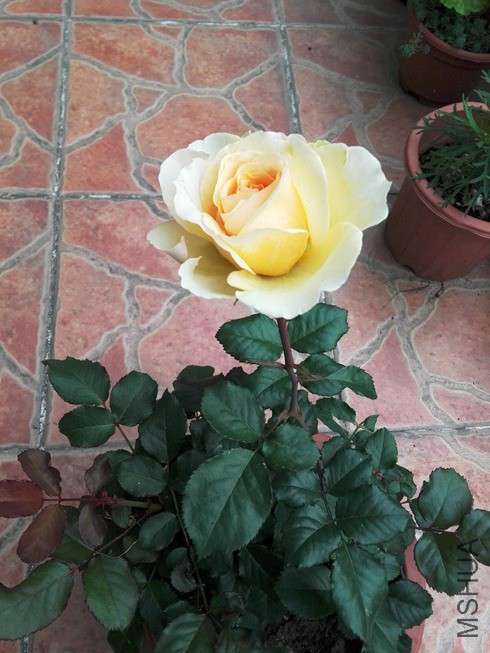 ͼƬ05.jpg