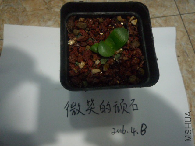 P1090954.JPG