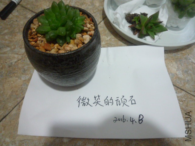 P1090937.JPG
