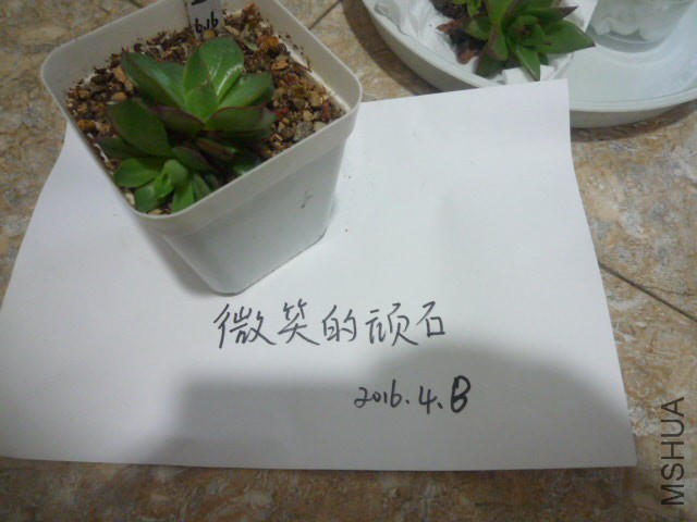 P1090936.JPG