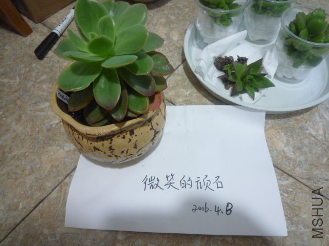 P1090938.JPG