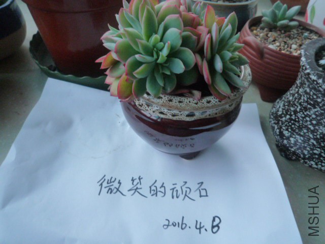 P1090939.JPG