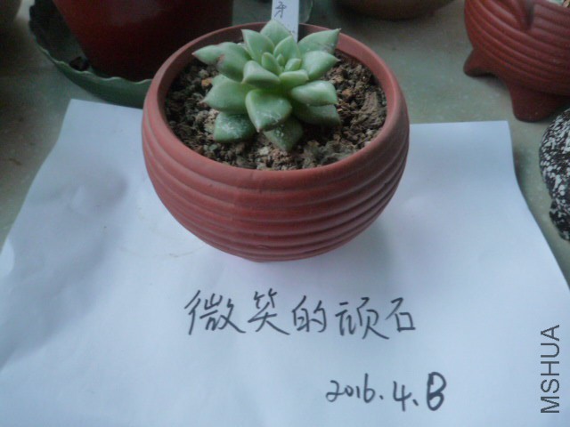 P1090941.JPG