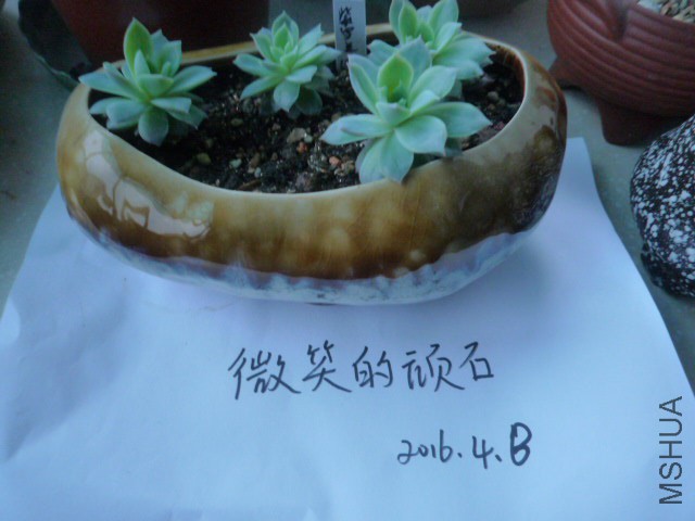 P1090943.JPG