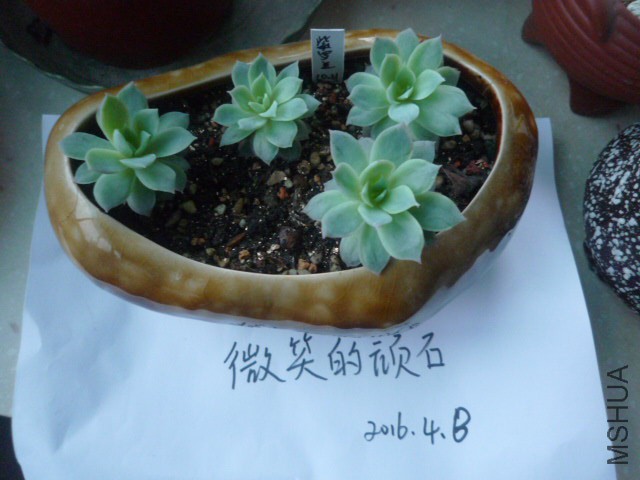 P1090944.JPG