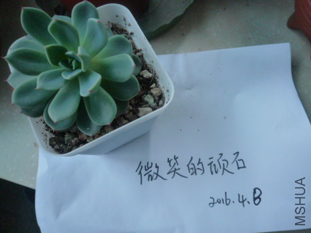 P1090946.JPG