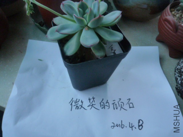 P1090947.JPG