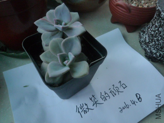 P1090950.JPG