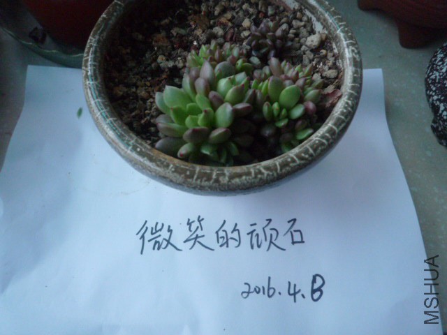 P1090951.JPG