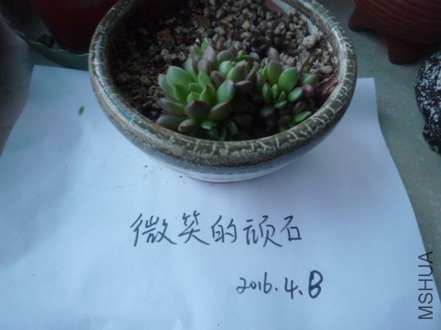 P1090952.JPG