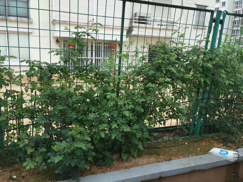 190042qot4doo6tuufveut.jpg