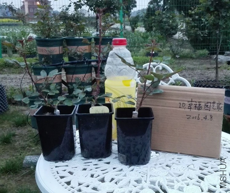 Ǯ������.jpg