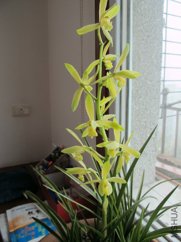 IMG_1589.JPG