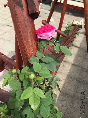 image.jpeg