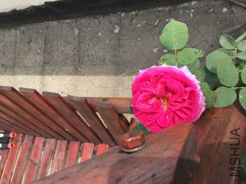 image.jpeg