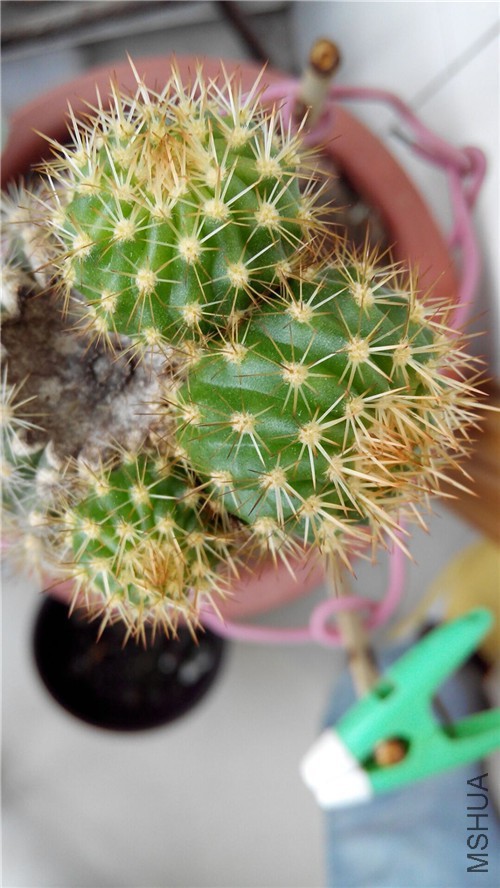 QQͼƬ20160409150414_����.jpg