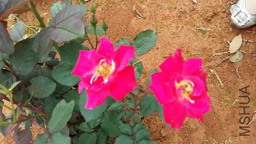 20160409_113013.jpg