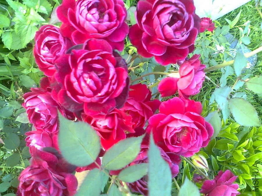 psb (12)_����.jpg