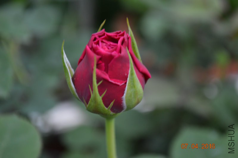 DSC_0025.JPG