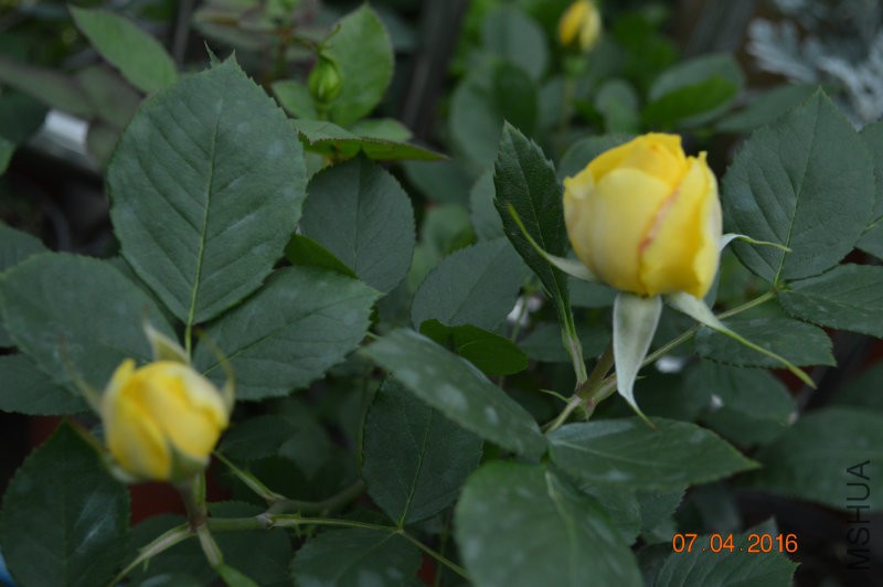 DSC_0022.JPG