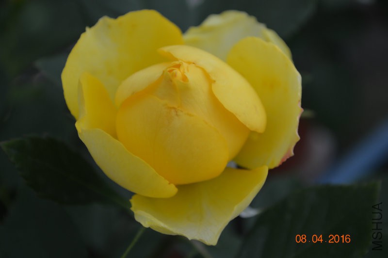 DSC_0063.JPG
