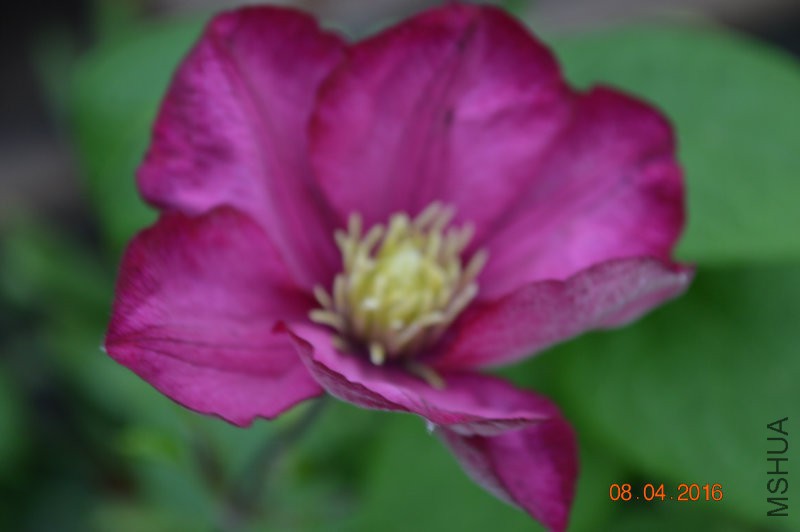 DSC_0075.JPG
