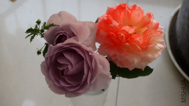 ����������һ��