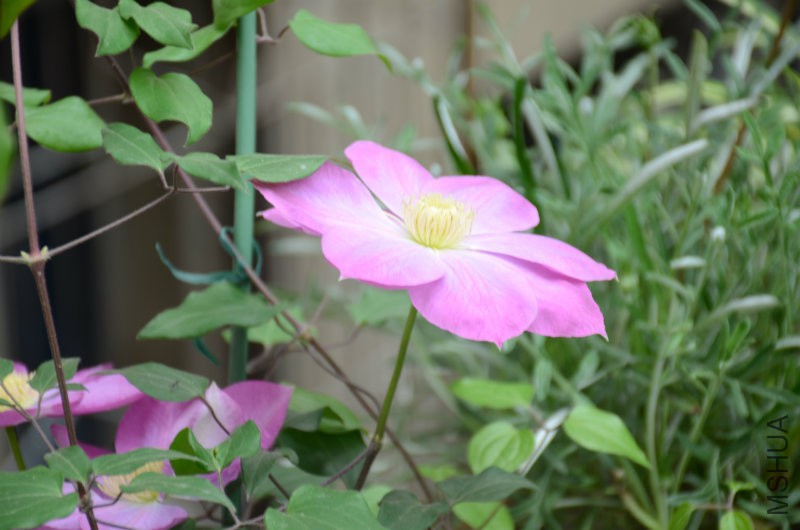 DSC_3122.JPG