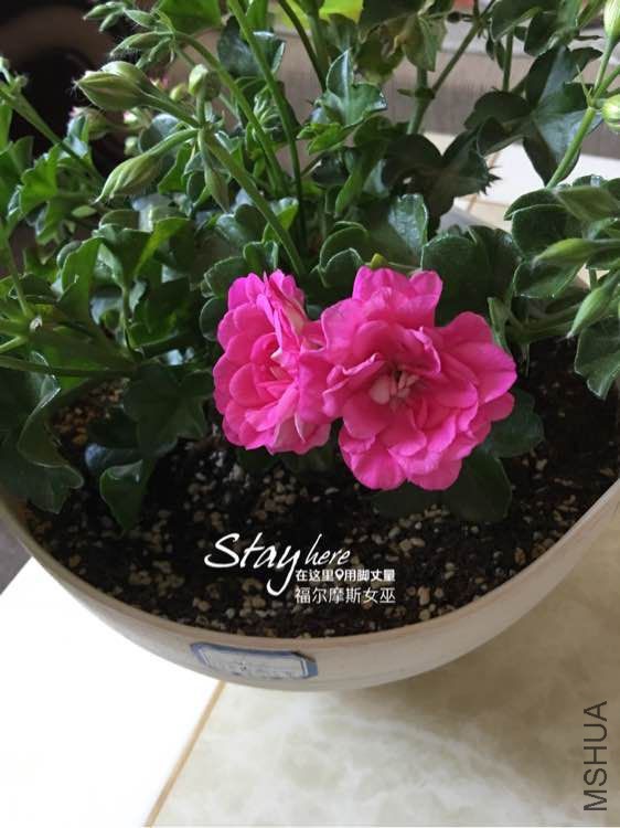 014.jpg