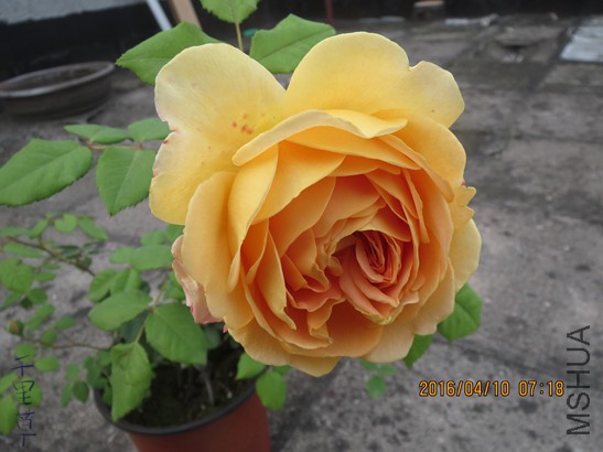 �ƽ����06.jpg