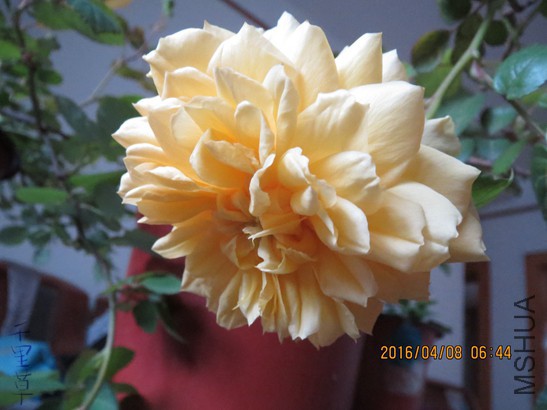 ����ͼͼ2016-04-0809.jpg